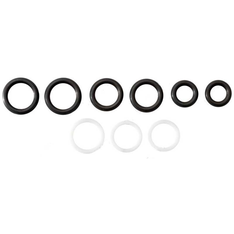 Alliant AP0028 Stand Pipe & Front Port Plug Seal Kit